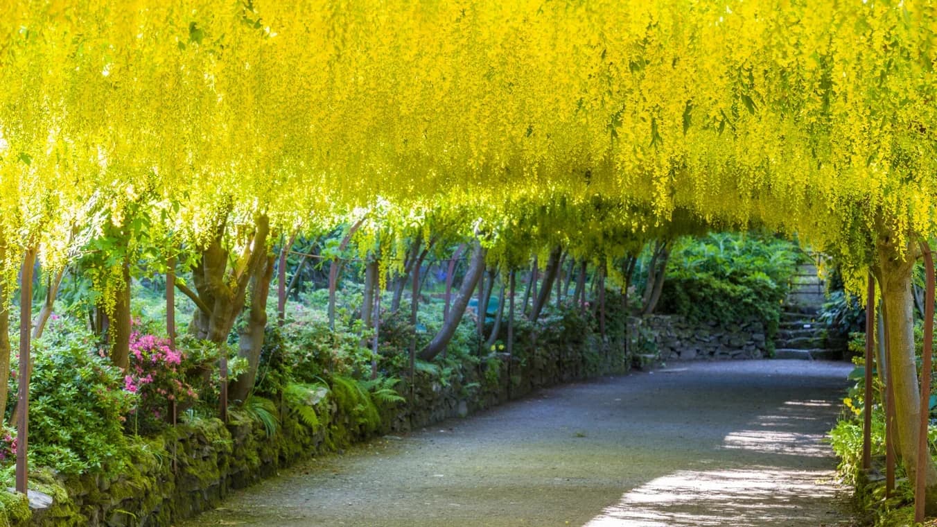 Bodnant Gardens